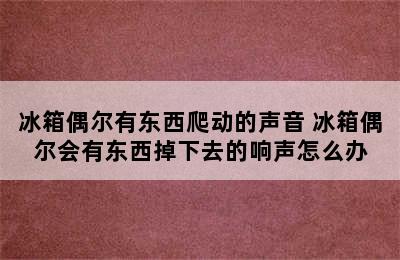 冰箱偶尔有东西爬动的声音 冰箱偶尔会有东西掉下去的响声怎么办